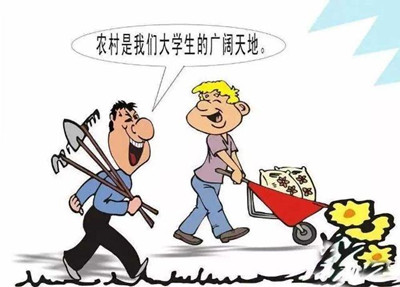 考公、考研難度高，應(yīng)屆生你還有4種選擇