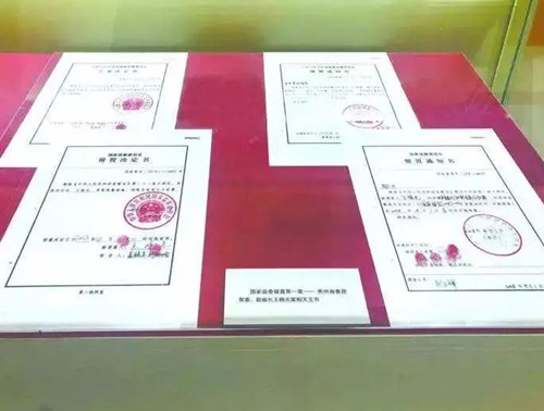 公務(wù)員聯(lián)考申論積累：2018年度十大反腐熱詞！